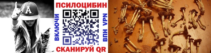 наркота  это формула  Галлюциногенные грибы Cubensis  Салаир 