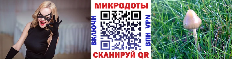 Псилоцибиновые грибы Psilocybe Салаир