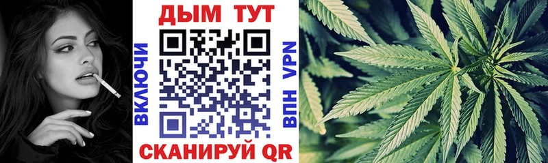 Бошки Шишки конопля  Салаир 